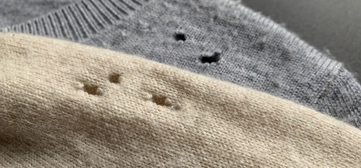 If you find these holes in your clothes, you had better know what it means